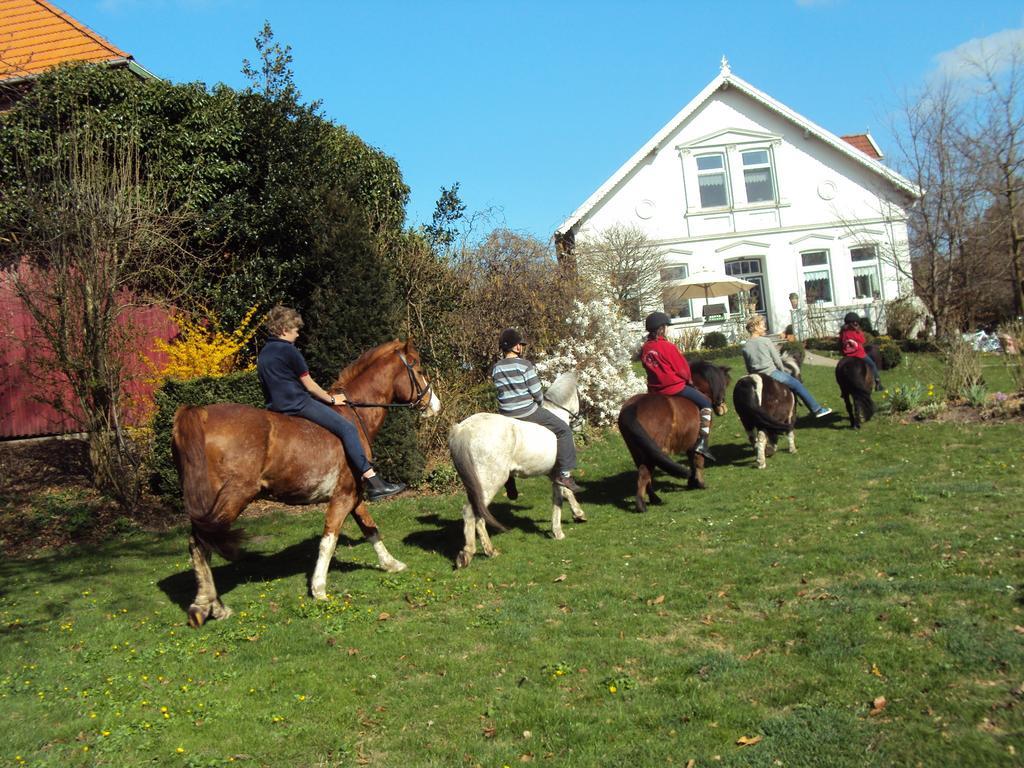 Farm Stay Hof Auf Der Wurp Harrierwurp Екстериор снимка