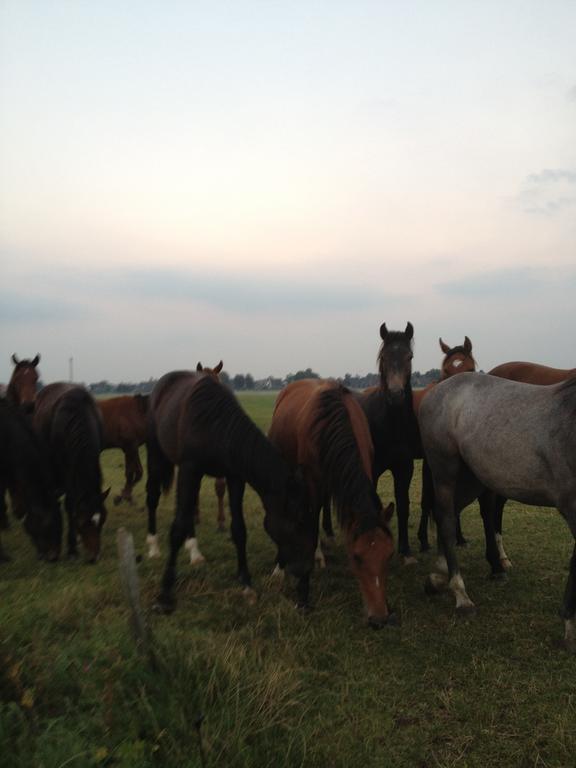 Farm Stay Hof Auf Der Wurp Harrierwurp Екстериор снимка